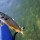 huntington tiger trout